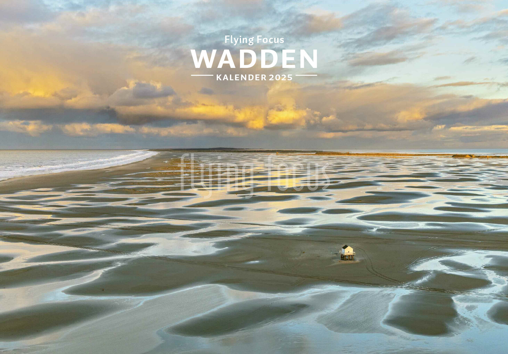 Dutch wetlands calendar 2025 Flying Focus