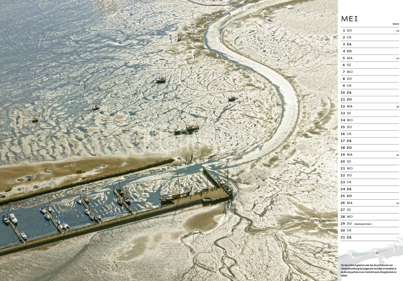 Dutch wetlands calendar 2025 Flying Focus