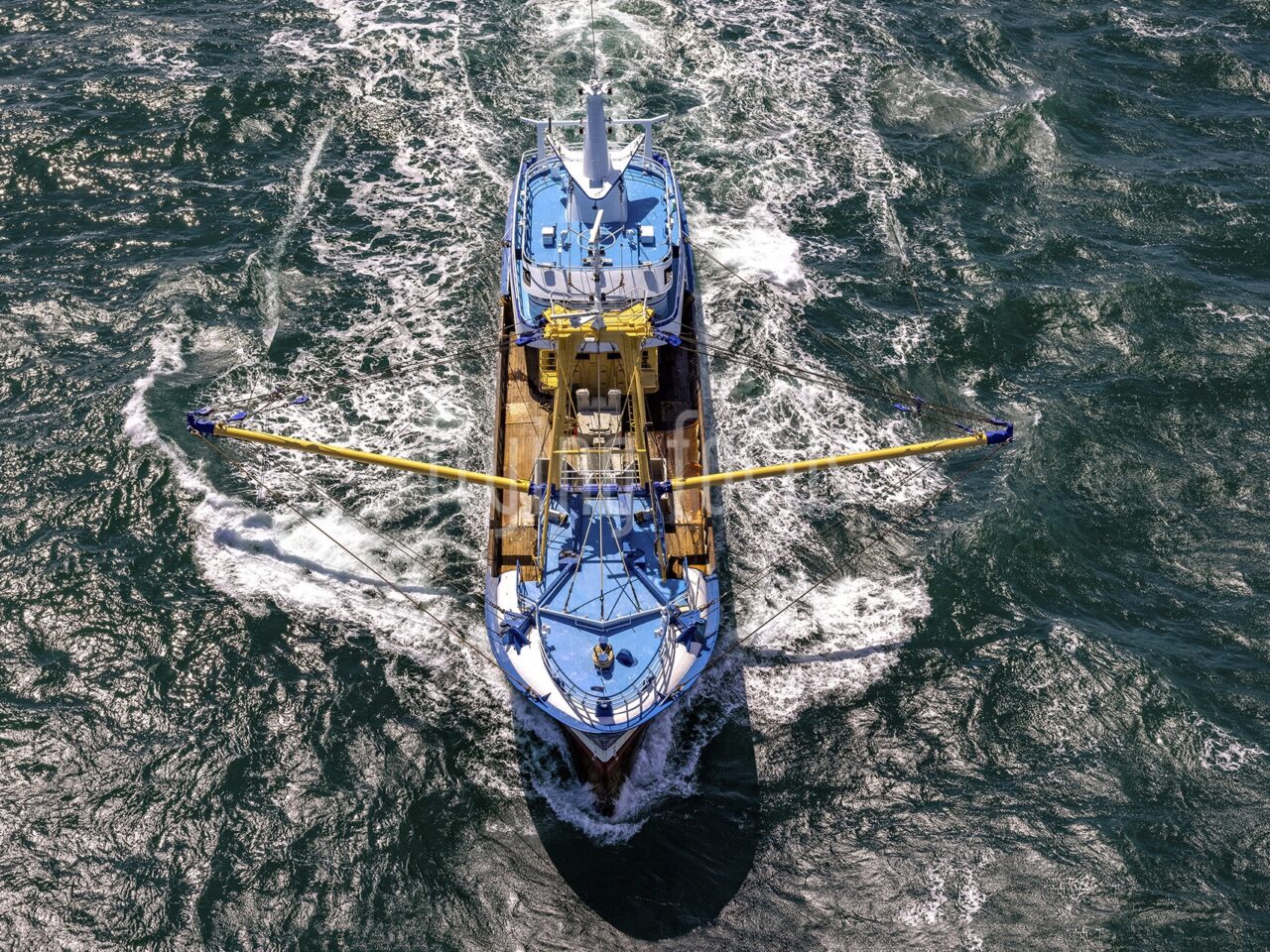 146646